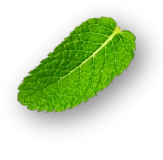 Mint Leaf